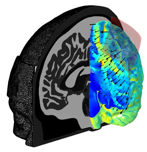 neuroscience2
