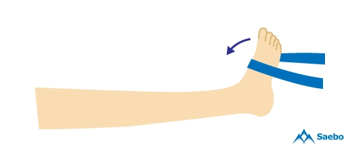 4-ankle-dorsiflexion.png