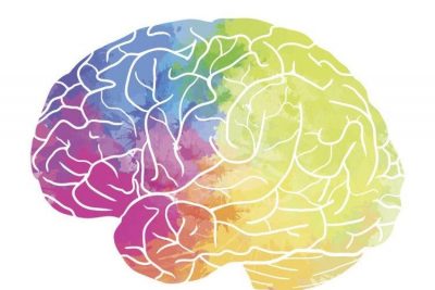 areas-of-the-brain-affected-by-stroke-e1584119978105
