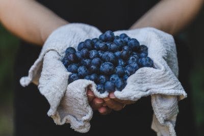 blueberries-for-light-sensitivity-after-head-injury