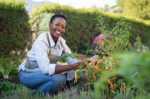 gardening