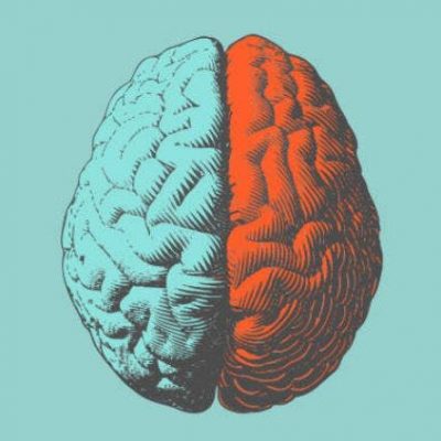parietal-lobe-stroke-will-have-various-effects-depending-on-which-side-of-the-brain-is-affected parietal-lobe-stroke-will-have-various-effects-depending-on-which-side-of-the-brain-is-affected