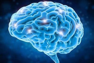 spasticity-and-the-brain